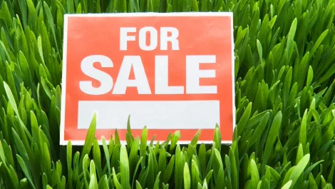 For sale