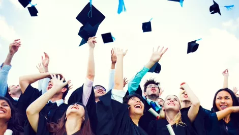 It a top earning degree for kiwi students