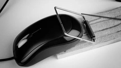 Thinkstockphotos 599997332 ys0kqhq