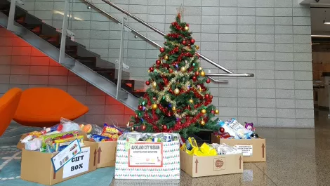 Dicker data xmas