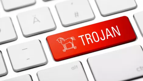 Cobian RAT author crowdsourcing malware botnet distribution