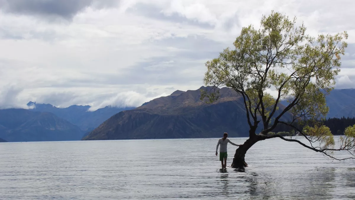 EHF Fellow creating a global model for blockchain policy from New Zealand