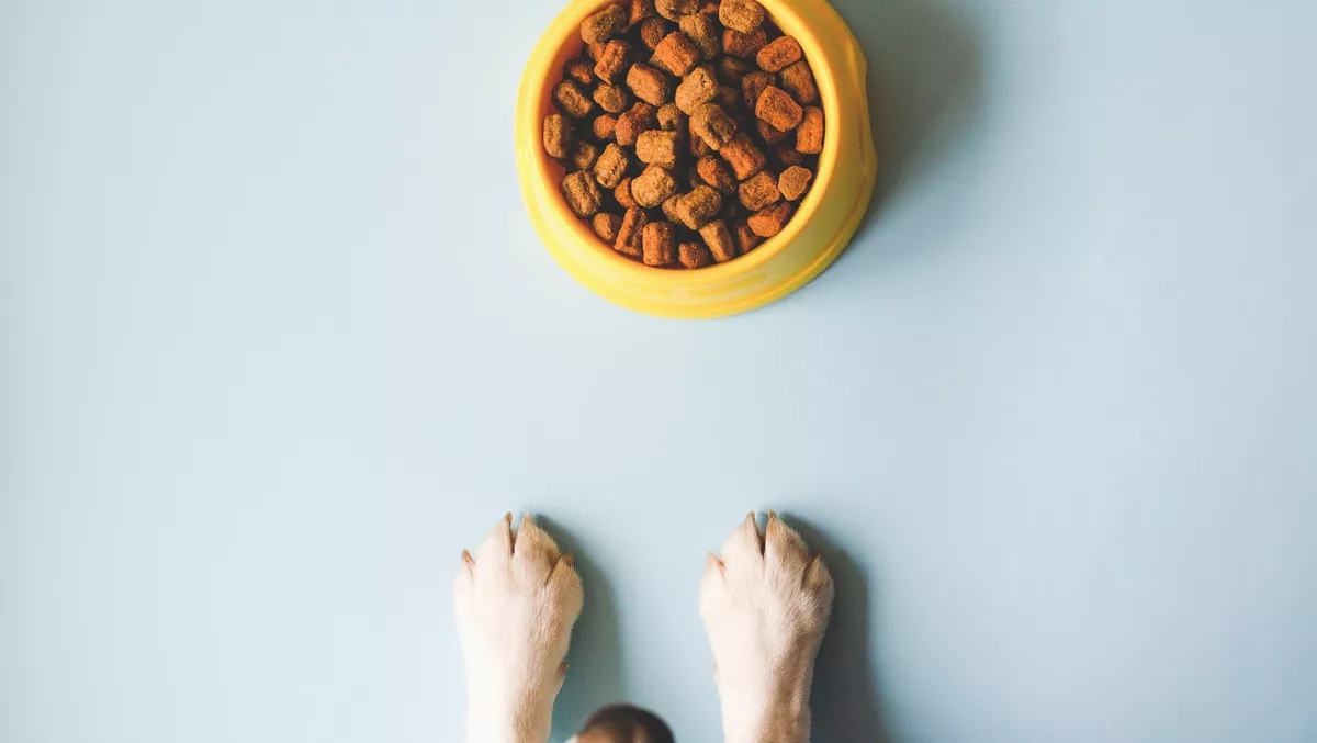 Heyrex: Remote health monitoring for animals